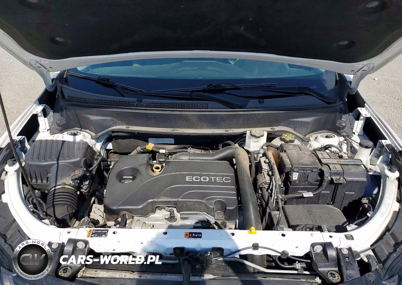 2019 Chevrolet Equinox Lt VIN:2GNAXKEV0K6218425 - 12