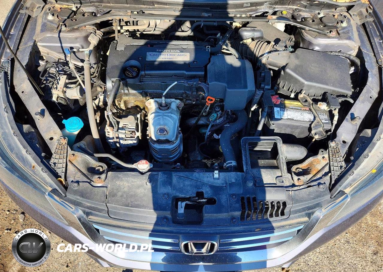 2013 Honda Accord Ex VIN:1HGCR2F75DA207309 - 11