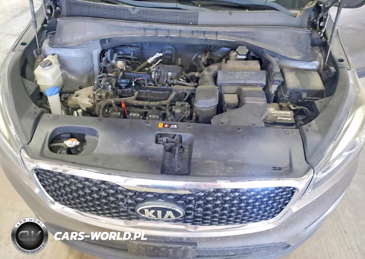 2017 Kia Sorento VIN:5XYPG4A36HG296979 - 12