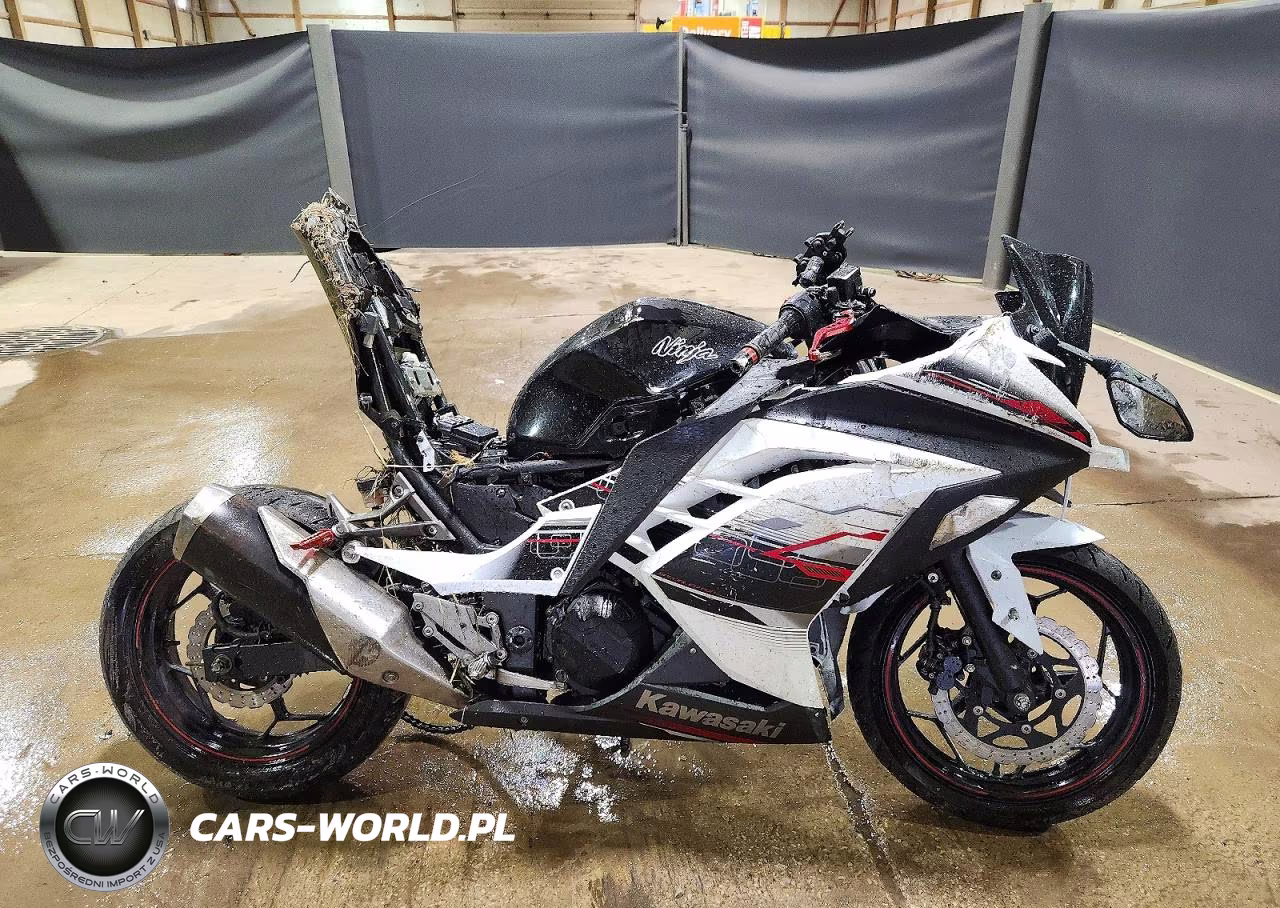 2014 Kawasaki Ex300 A – zdjęcie 1 z 8