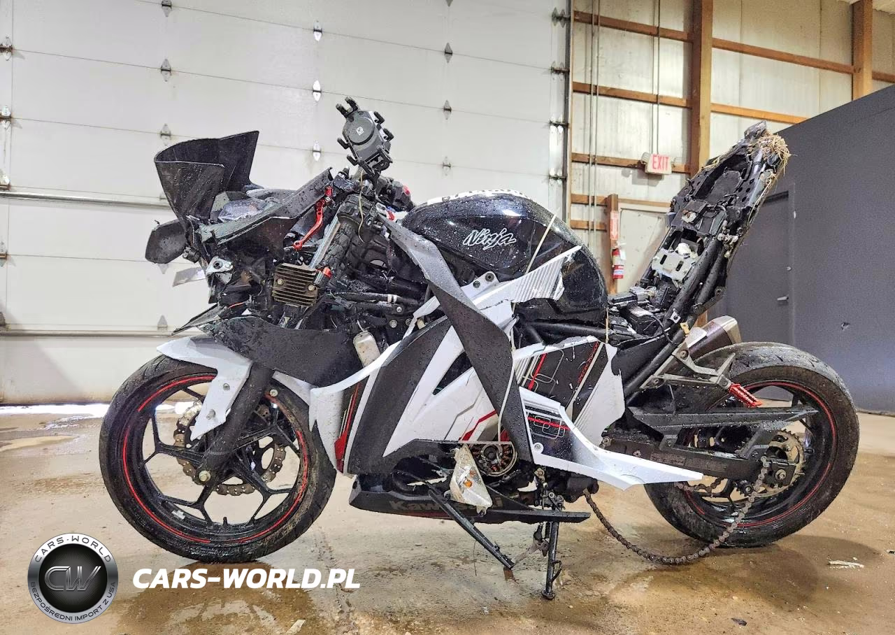 2014 Kawasaki Ex300 A VIN:JKAEX8A14EA000134 - 3