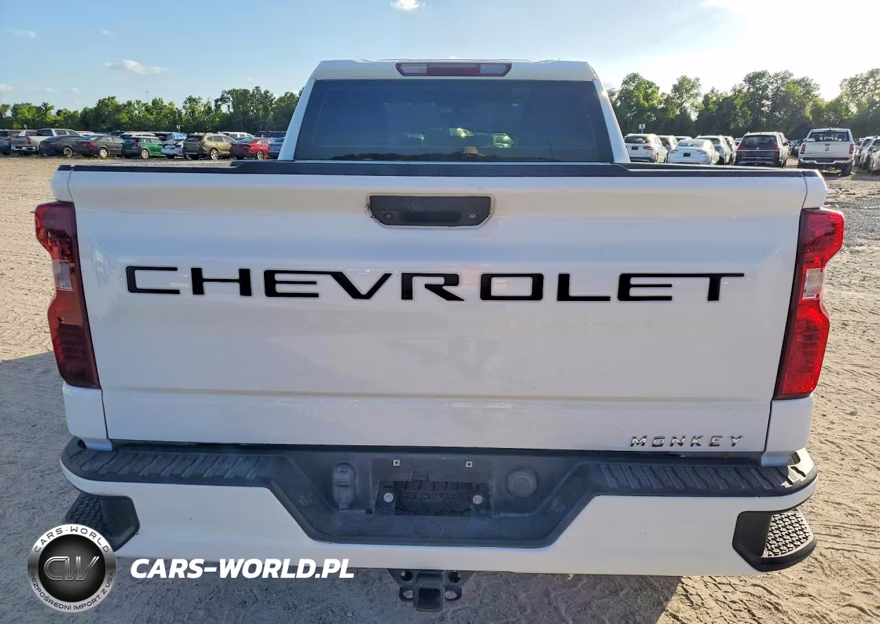 2019 Chevrolet Silverado C1500 VIN:1GCRWAEH1KZ336314 - 6