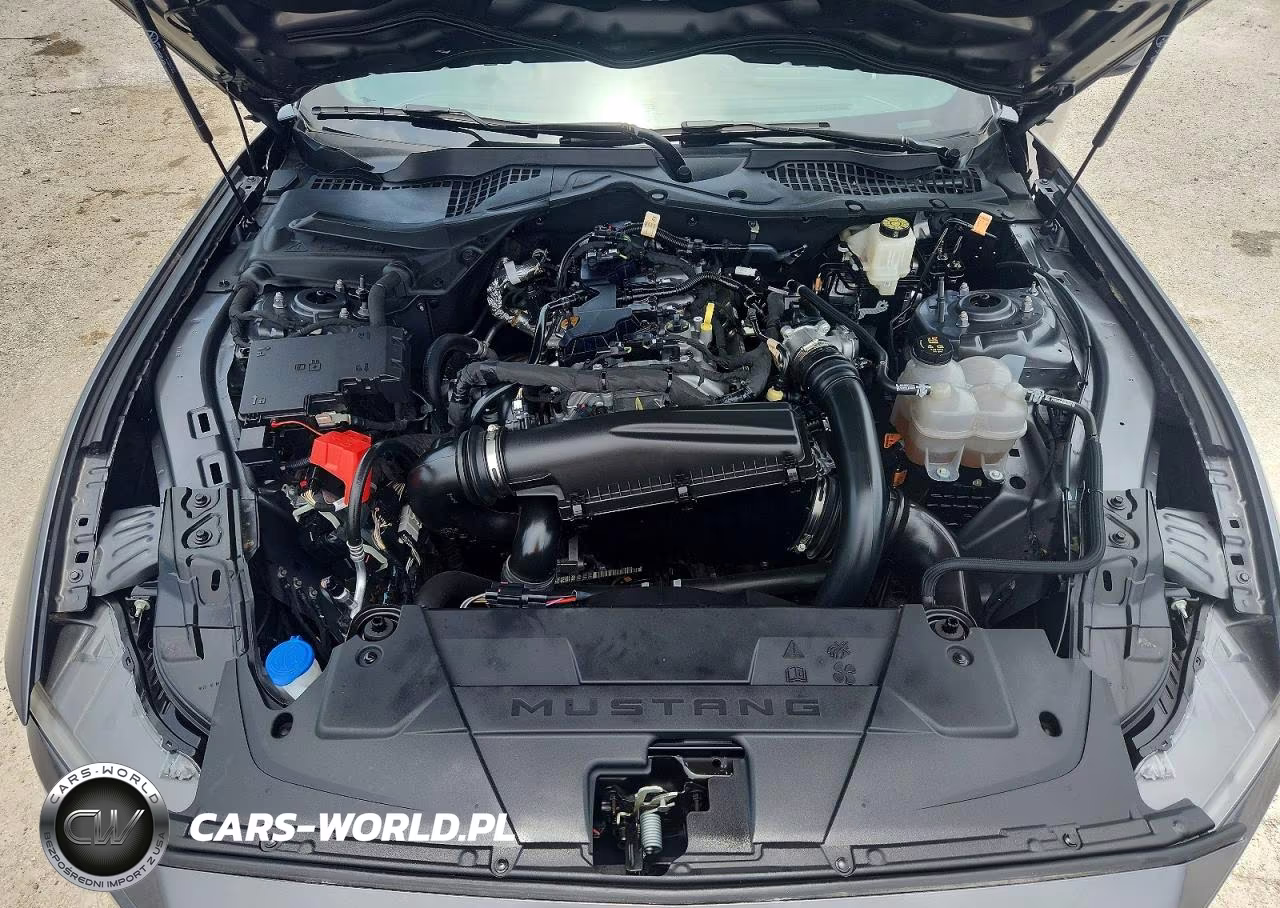 2024 Ford Mustang VIN:1FA6P8TH7R5105680 - 11
