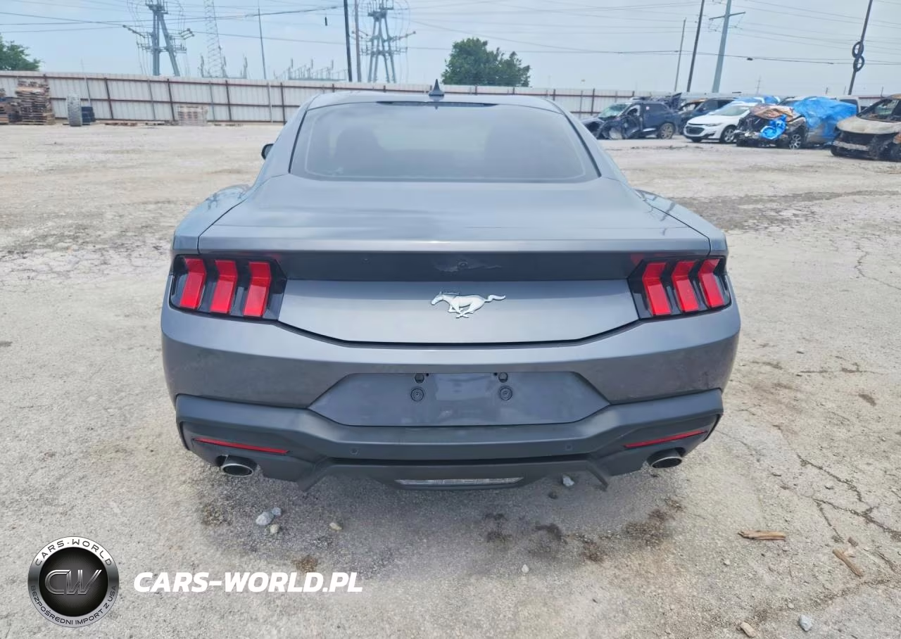 2024 Ford Mustang VIN:1FA6P8TH7R5105680 - 6
