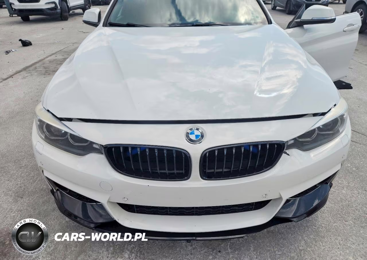 2019 BMW 430I Gran Coupe VIN:WBA4J1C58KBM12067 - 11