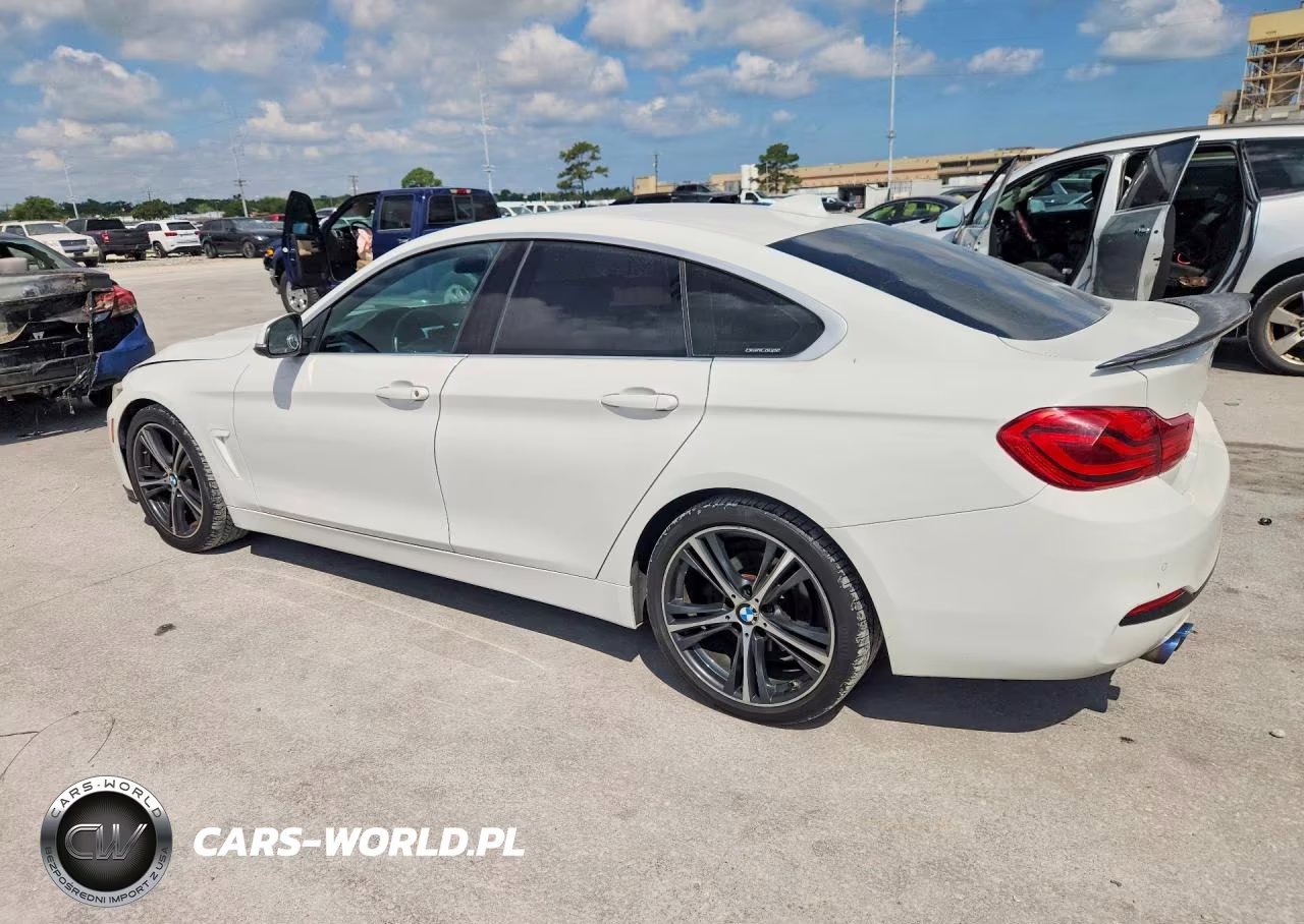 2019 BMW 430I Gran Coupe VIN:WBA4J1C58KBM12067 - 2