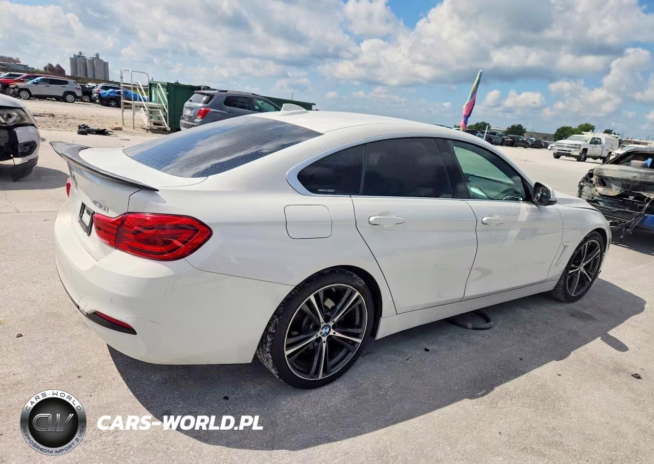 2019 BMW 430I Gran Coupe VIN:WBA4J1C58KBM12067 - 3