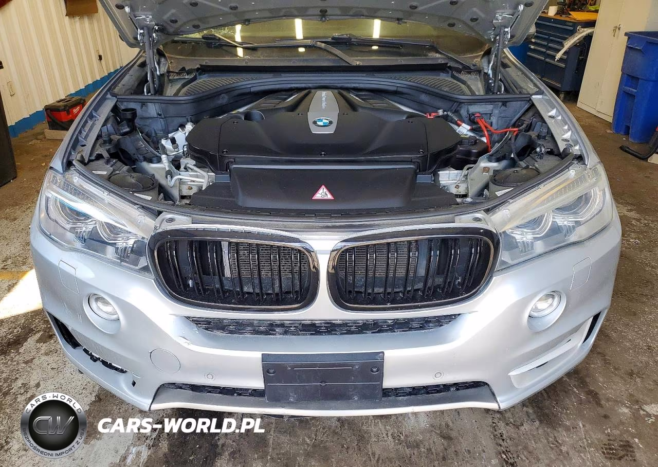 2015 BMW X5 xDrive50I VIN:5UXKR6C55F0J78857 - 12