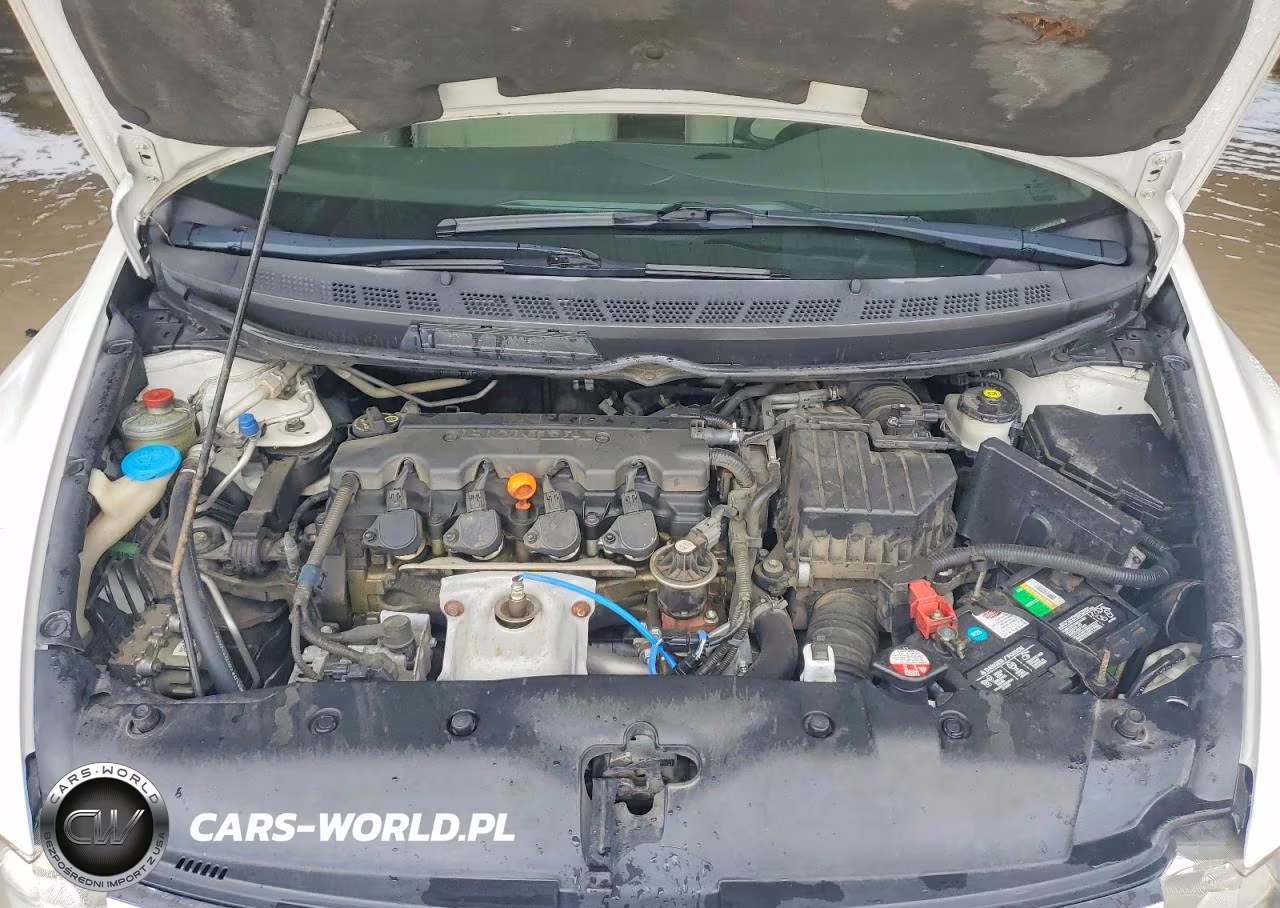 2009 Honda Civic Lx VIN:2HGFA16519H365071 - 11