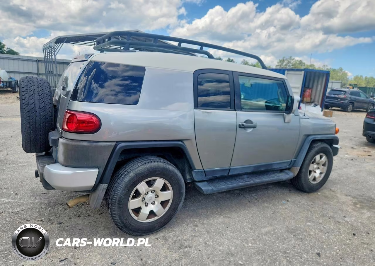 2010 Toyota Fj Cruiser Base VIN:JTEZU4BF4AK008656 - 3