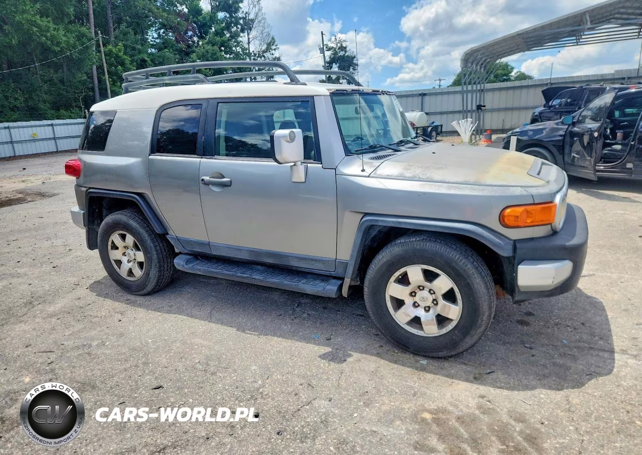 2010 Toyota Fj Cruiser Base VIN:JTEZU4BF4AK008656 - 4