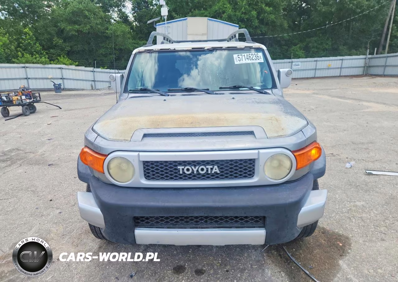 2010 Toyota Fj Cruiser Base VIN:JTEZU4BF4AK008656 - 5