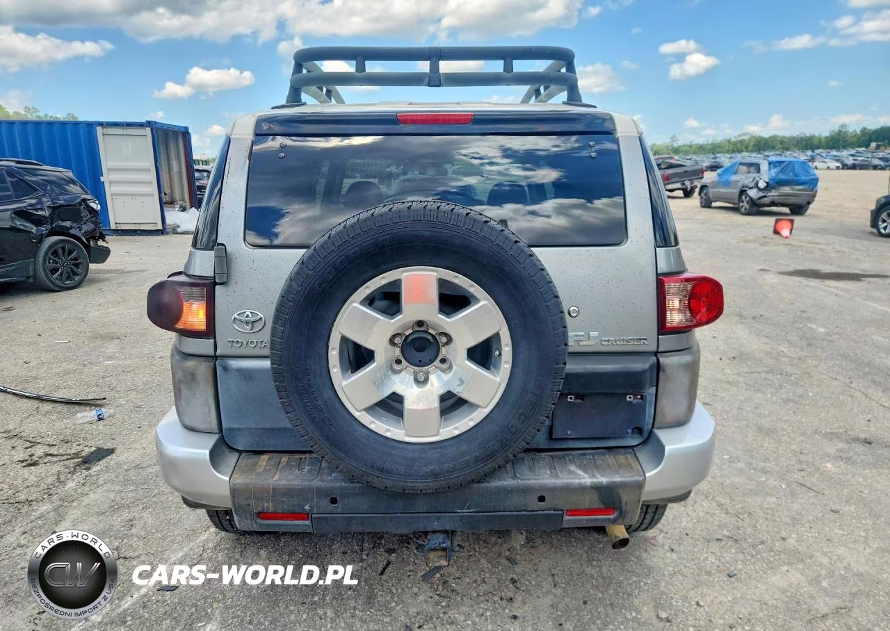 2010 Toyota Fj Cruiser Base VIN:JTEZU4BF4AK008656 - 6