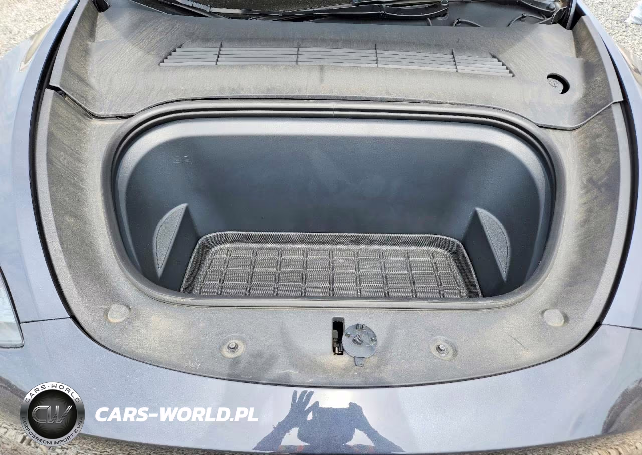 2024 Tesla Model Y VIN:7SAYGDEE5RA289143 - 11