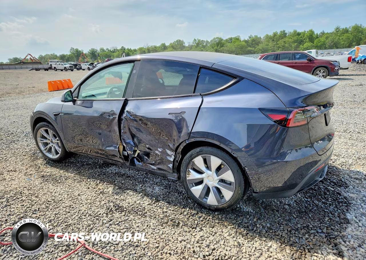 2024 Tesla Model Y VIN:7SAYGDEE5RA289143 - 2