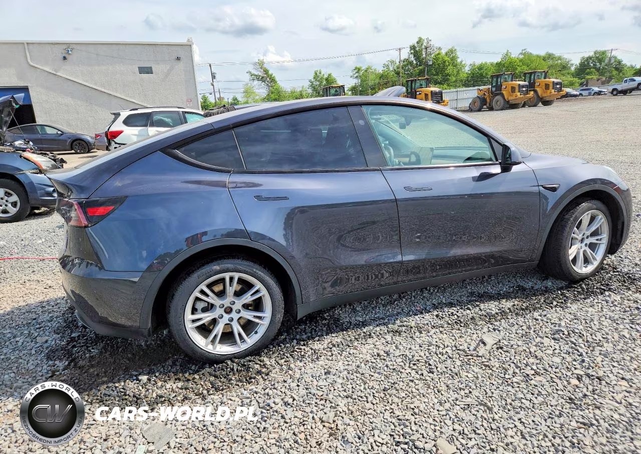2024 Tesla Model Y VIN:7SAYGDEE5RA289143 - 3
