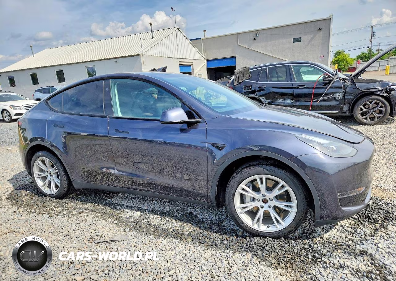 2024 Tesla Model Y VIN:7SAYGDEE5RA289143 - 4