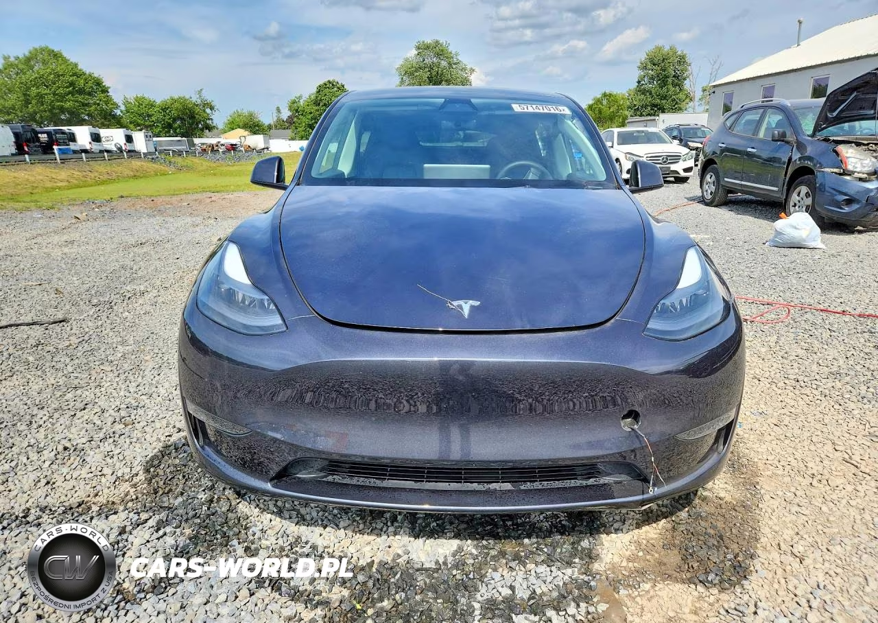 2024 Tesla Model Y VIN:7SAYGDEE5RA289143 - 5