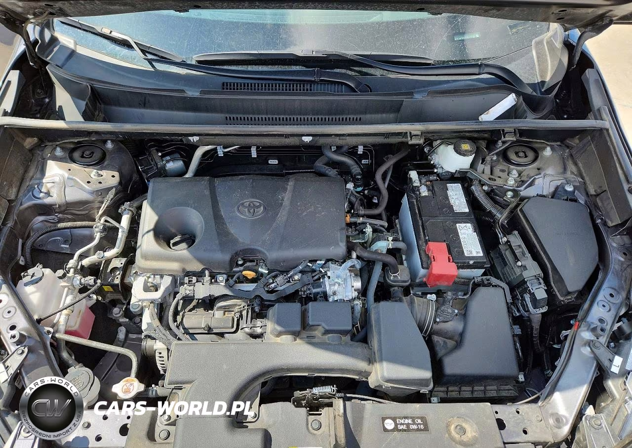 2025 Toyota Rav4 Xle VIN:2T3W1RFV4SC315060 - 11