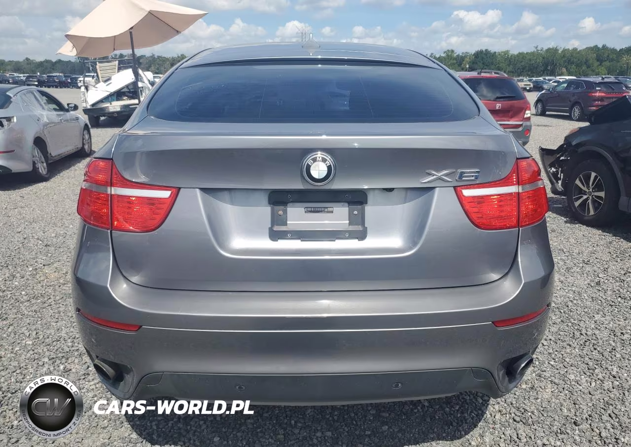 2011 BMW X6 xDrive35I VIN:5UXFG2C52BLX06783 - 6