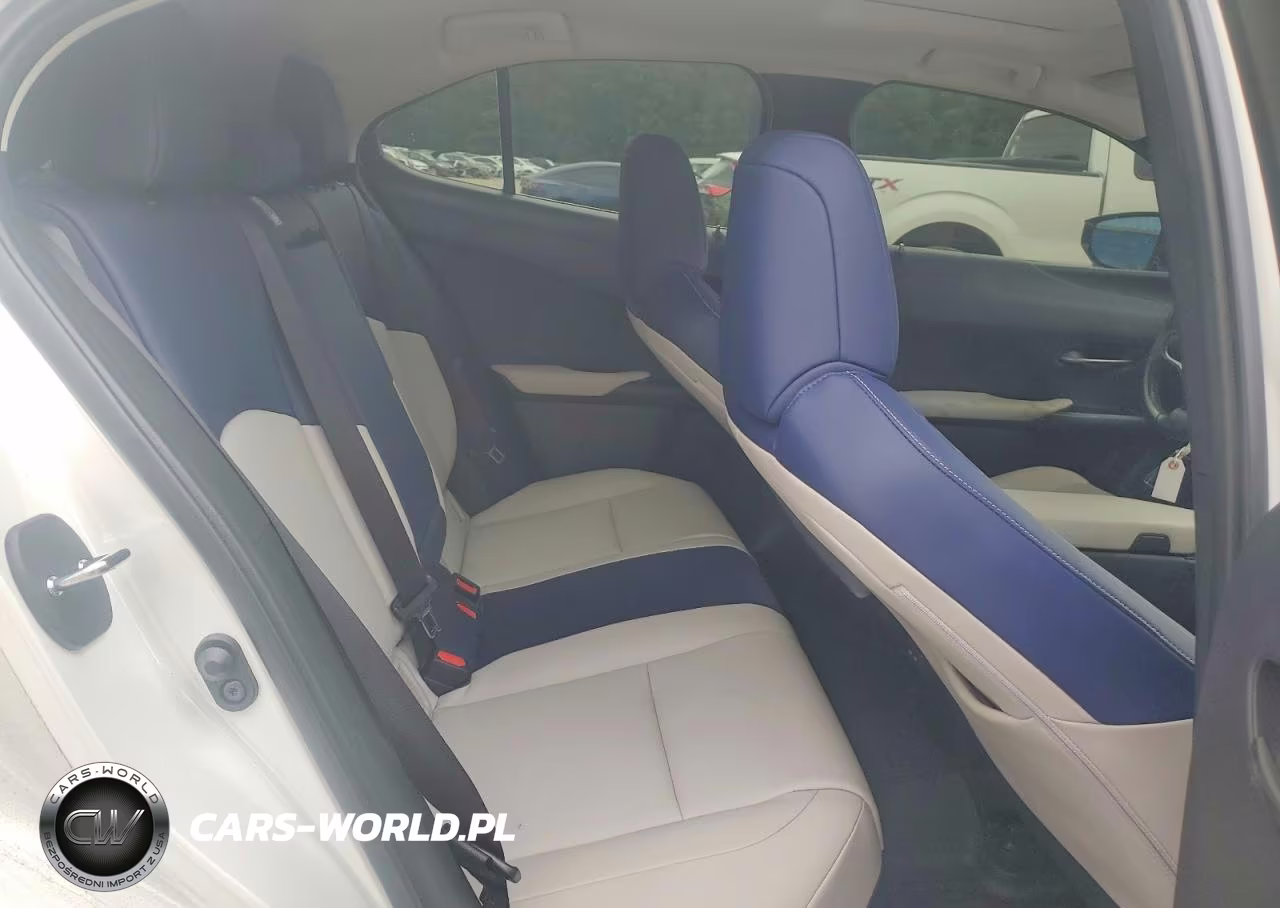 2021 Lexus Ux 200 VIN:JTHX3JBH3M2033856 - 10
