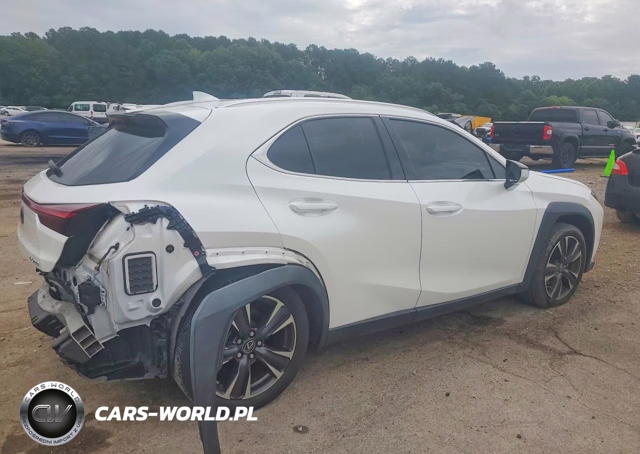 2021 Lexus Ux 200 VIN:JTHX3JBH3M2033856 - 3