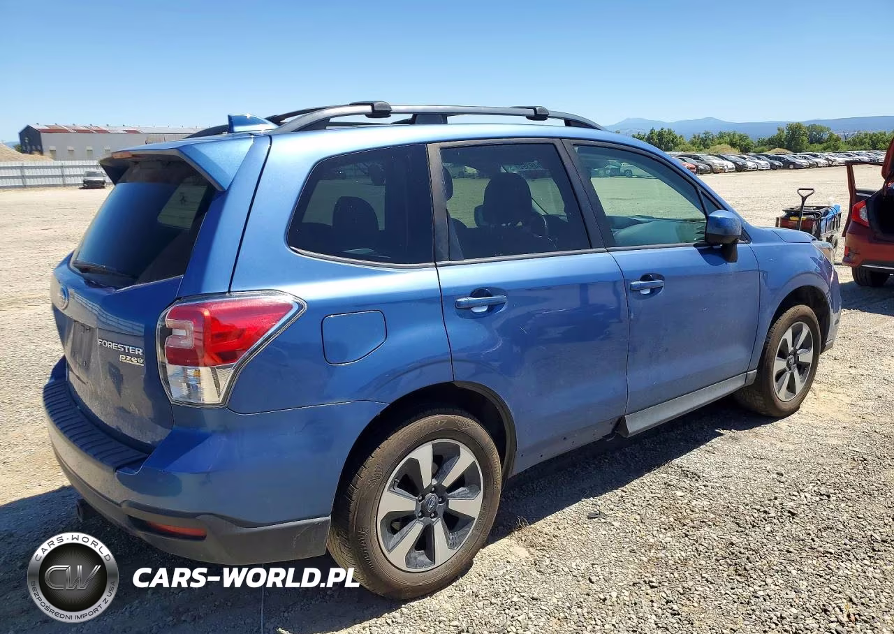 2017 Subaru Forester 2.5I Premium VIN:JF2SJAGC8HH495218 - 3