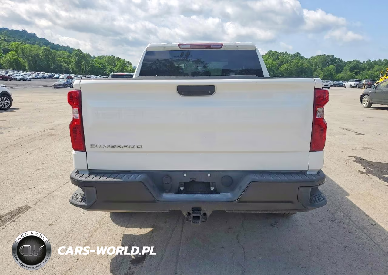 2025 Chevrolet Silverado K1500 VIN:1GCUKAED3SZ259223 - 6