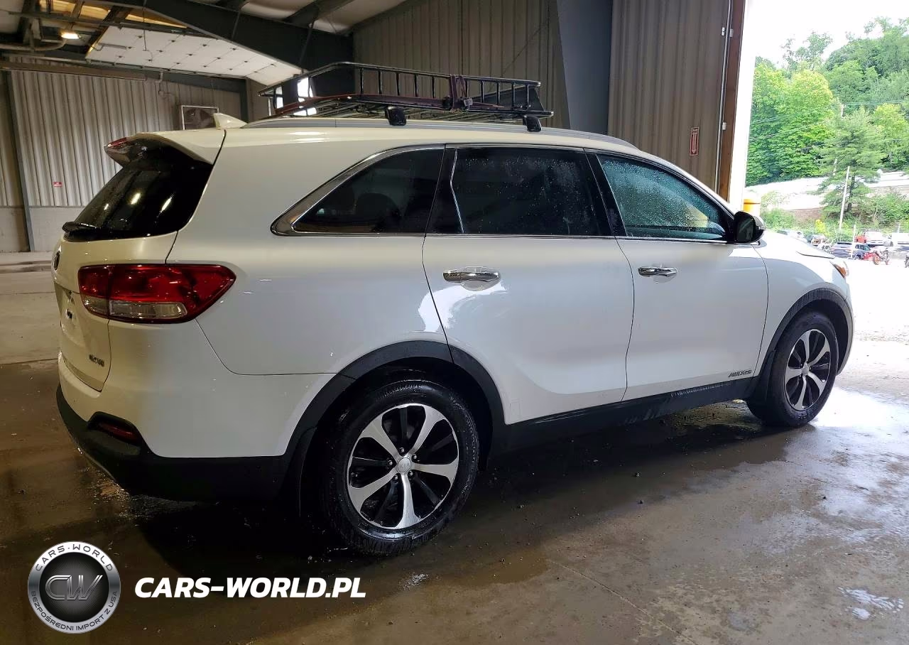 2017 Kia Sorento Ex VIN:5XYPHDA59HG205055 - 3