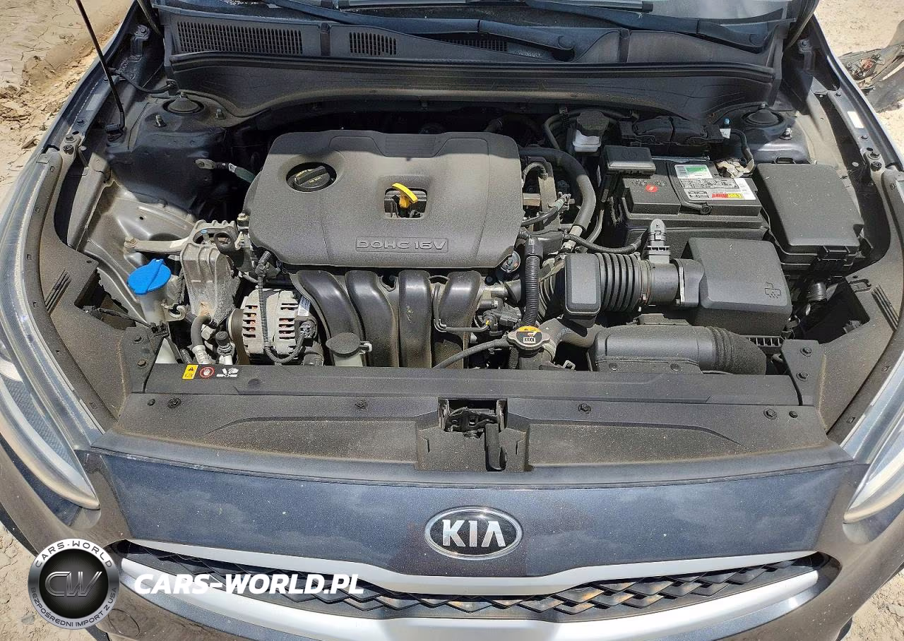 KIA FORTE VIN:3KPF24AD5LE144572 - 11