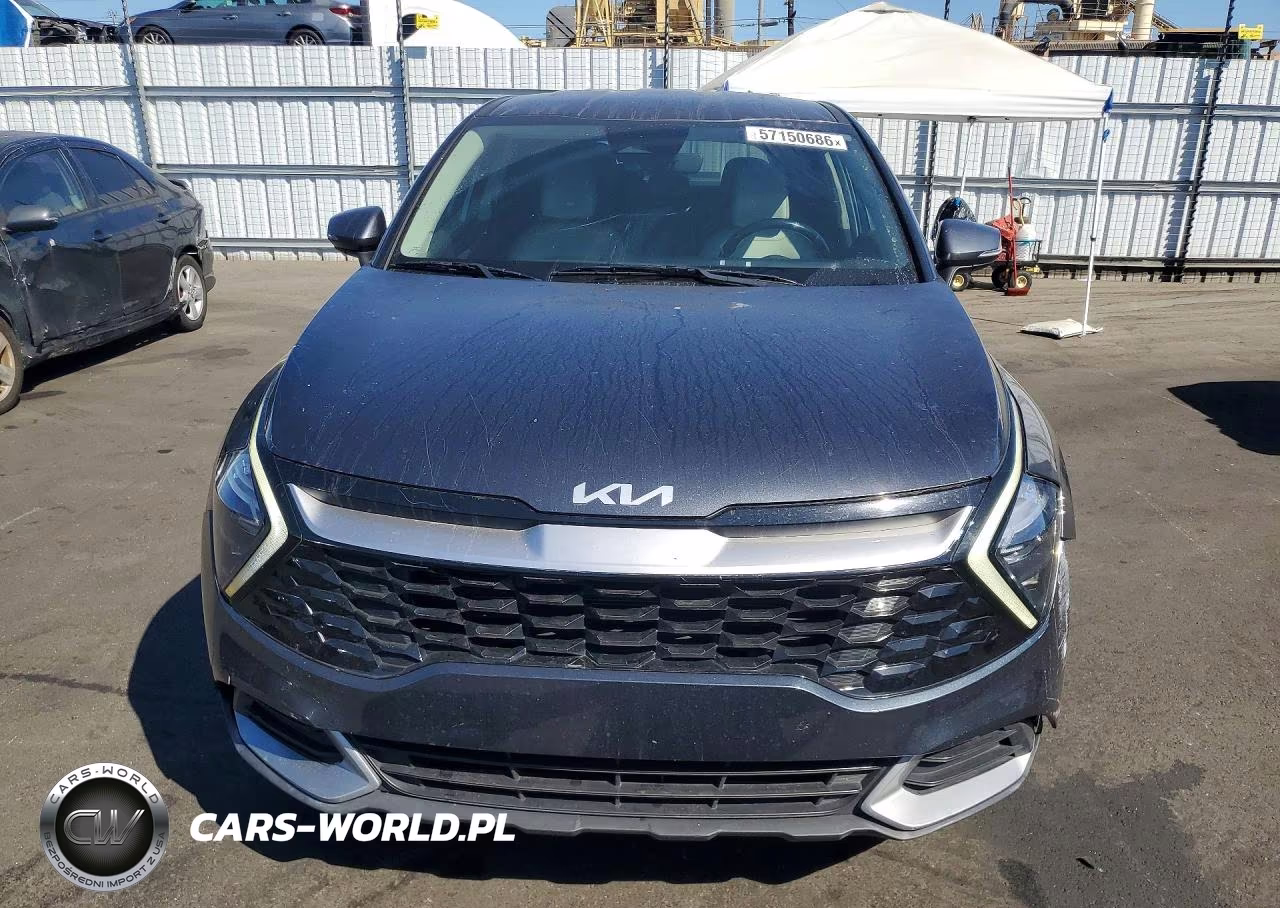 2023 Kia Sportage Ex VIN:5XYK33AFXPG095952 - 5