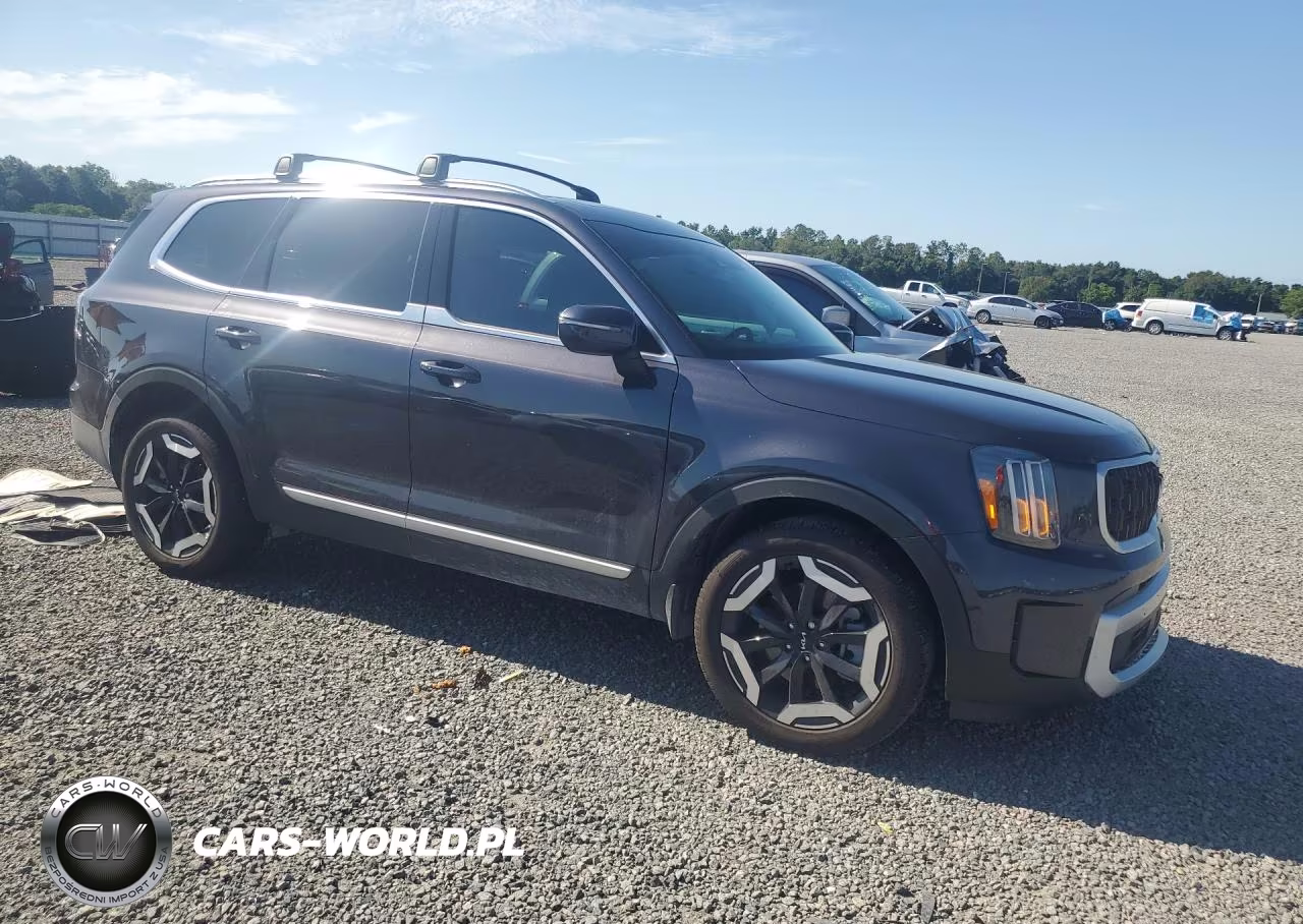 2025 Kia Telluride Ex VIN:5XYP34GC3SG728373 - 4