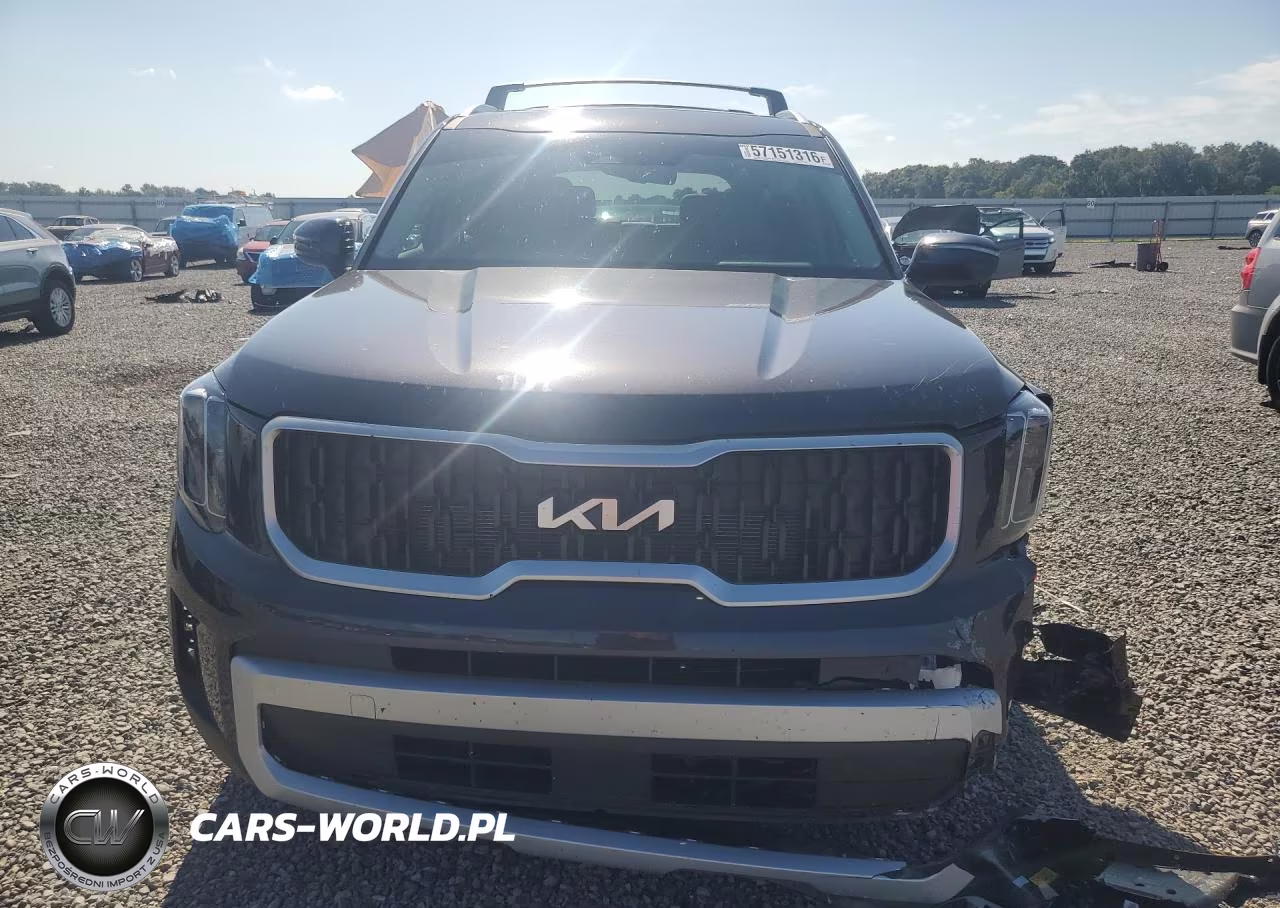 2025 Kia Telluride Ex VIN:5XYP34GC3SG728373 - 5