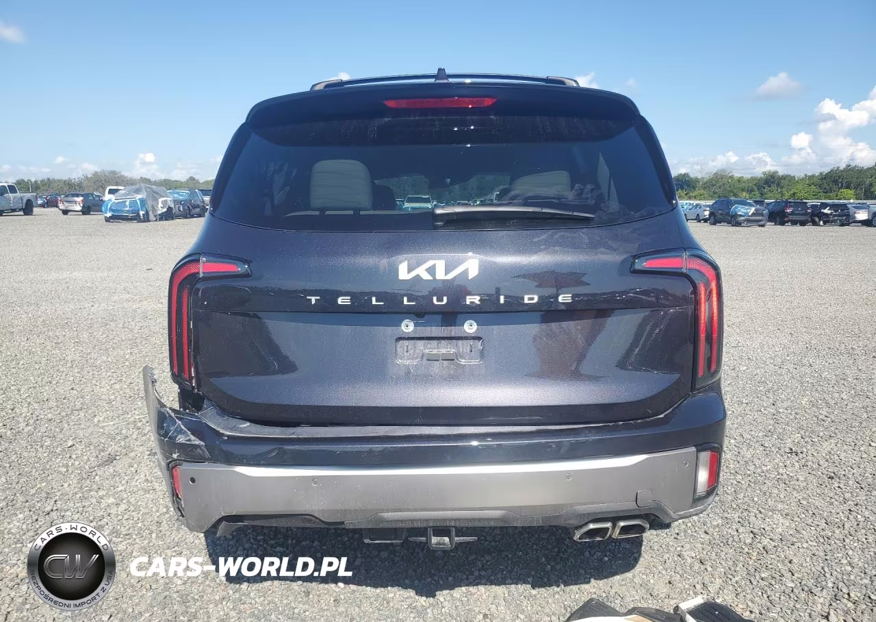 2025 Kia Telluride Ex VIN:5XYP34GC3SG728373 - 6
