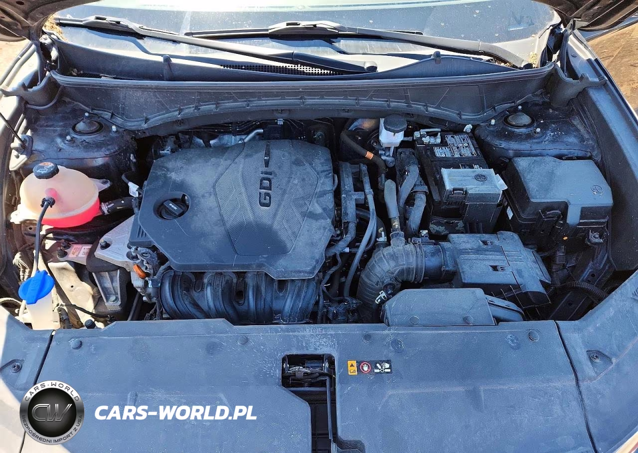 2024 Hyundai Tucson Sel VIN:5NMJB3DE2RH340690 - 12