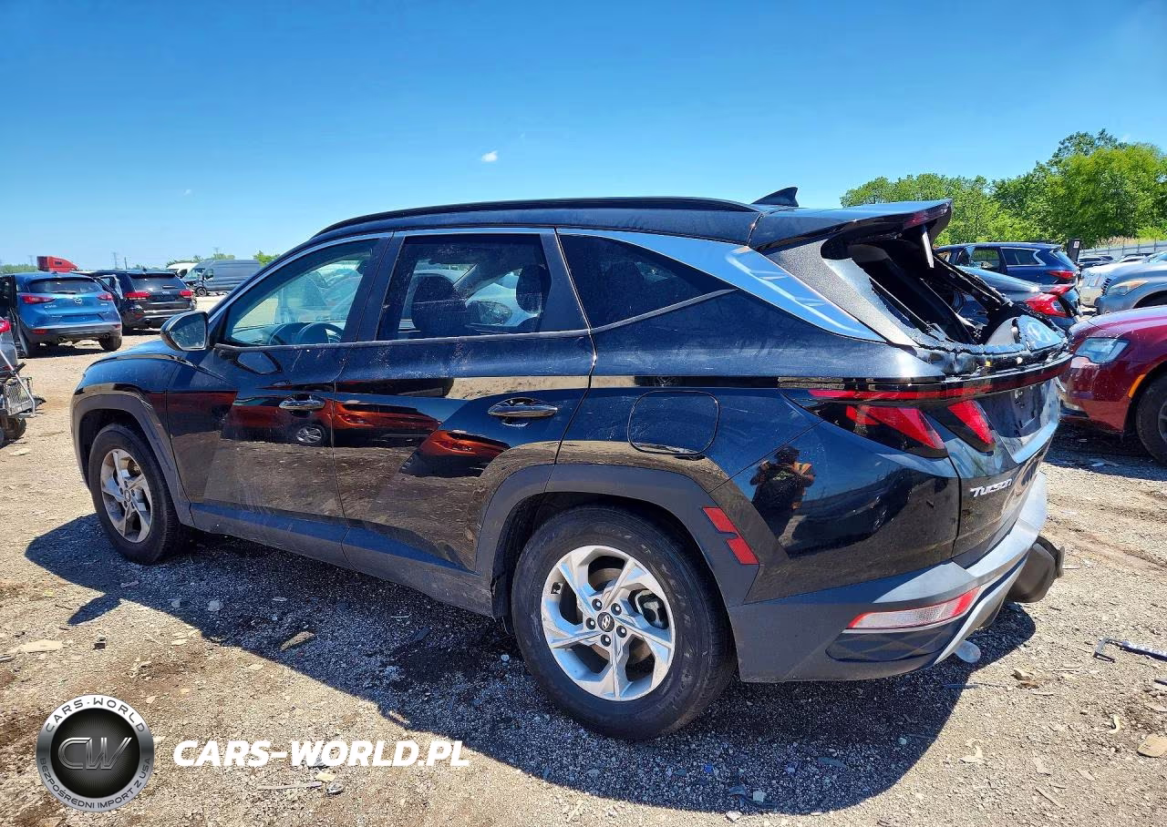 2024 Hyundai Tucson Sel VIN:5NMJB3DE2RH340690 - 2