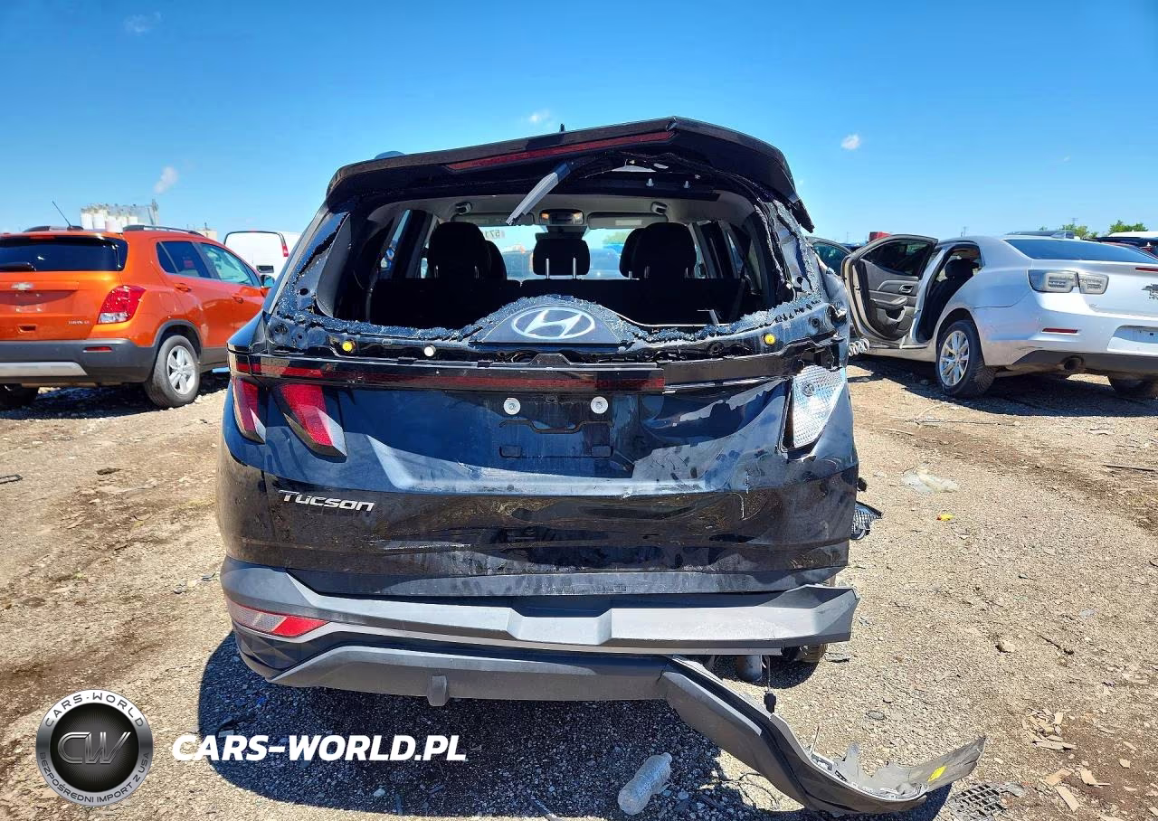 2024 Hyundai Tucson Sel VIN:5NMJB3DE2RH340690 - 6