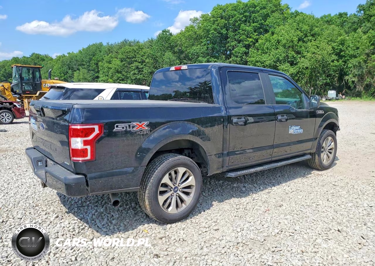 2018 Ford F150 Supercrew VIN:1FTEW1EP7JFE33166 - 3