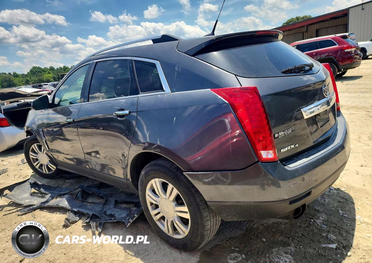 2010 Cadillac Srx Luxury Collection VIN:3GYFNDEY7AS656654 - 2