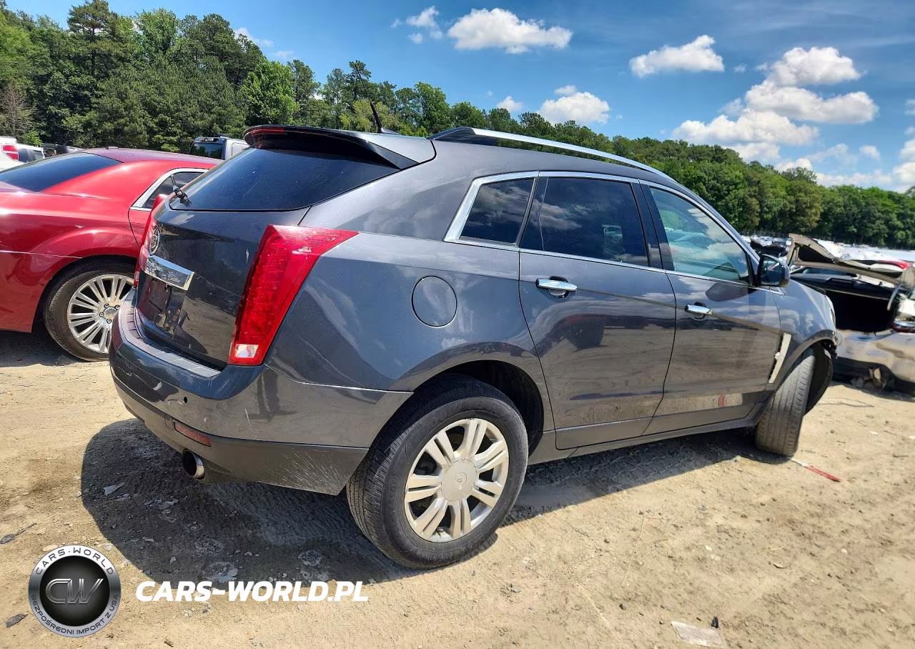 2010 Cadillac Srx Luxury Collection VIN:3GYFNDEY7AS656654 - 3