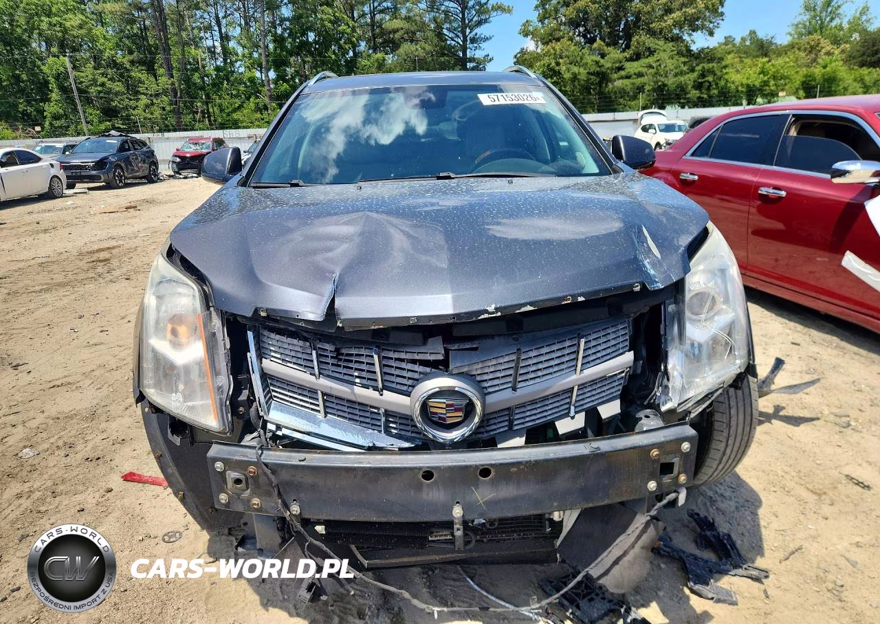 2010 Cadillac Srx Luxury Collection VIN:3GYFNDEY7AS656654 - 5