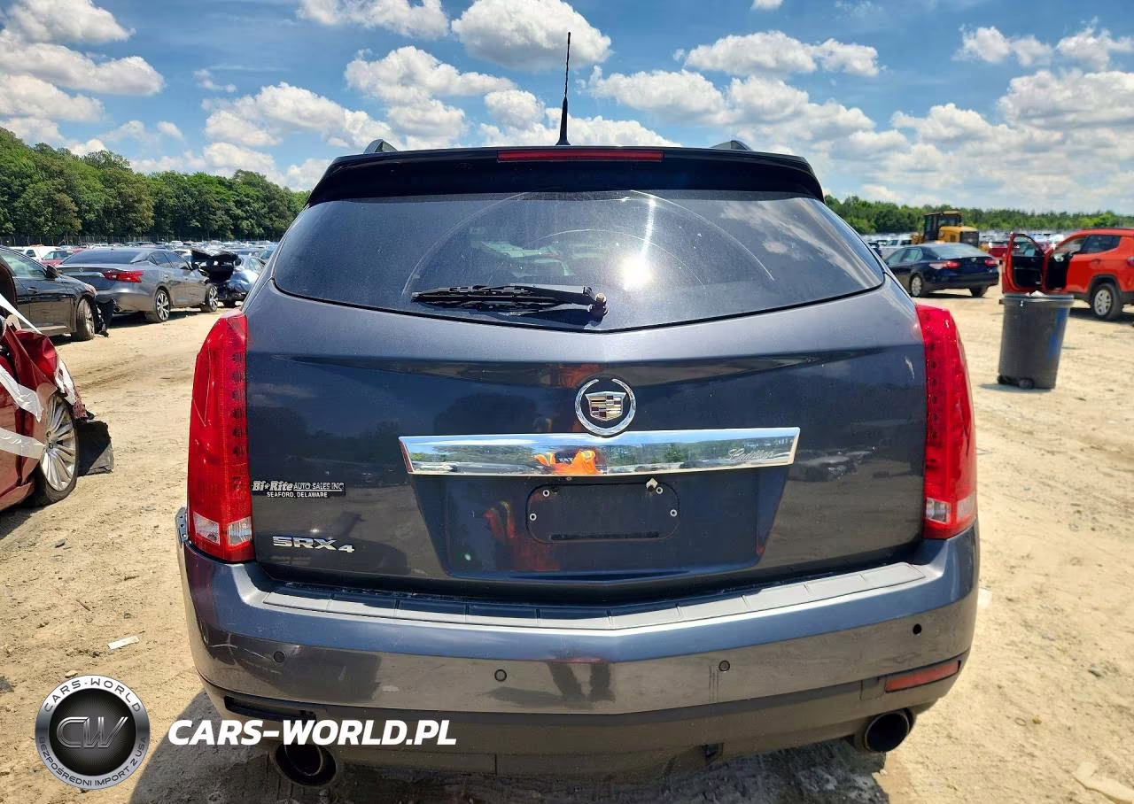 2010 Cadillac Srx Luxury Collection VIN:3GYFNDEY7AS656654 - 6