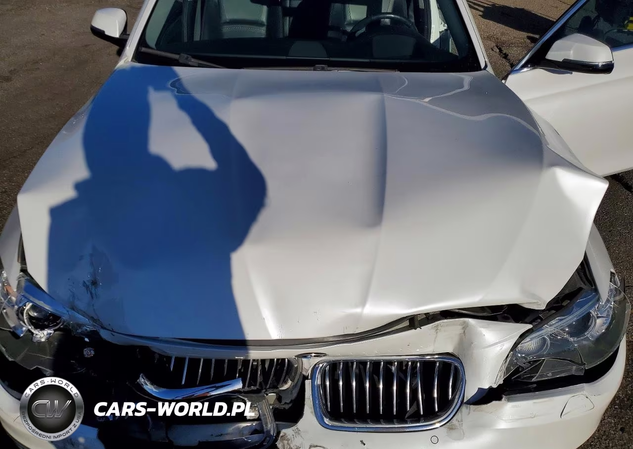 2015 BMW 528 Xi VIN:WBA5A7C57FD621723 - 11