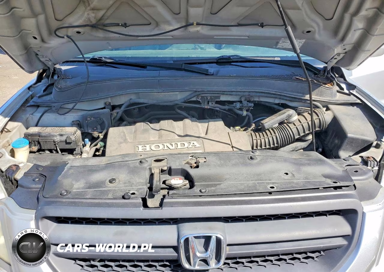 2005 Honda Pilot Exl VIN:5FNYF185X5B047701 - 12