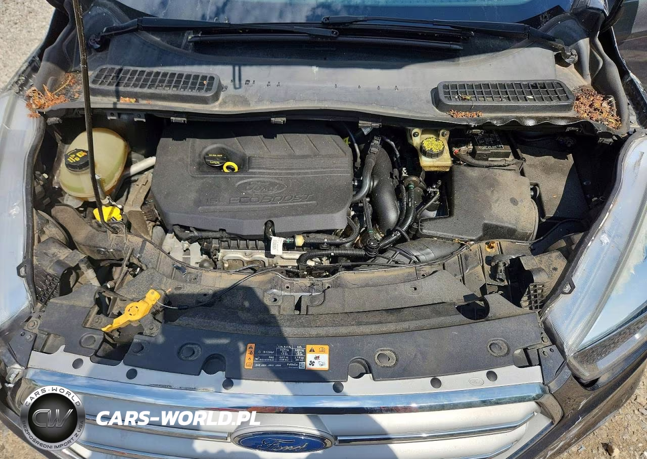 2018 Ford Escape Se VIN:1FMCU9GD3JUC24125 - 12