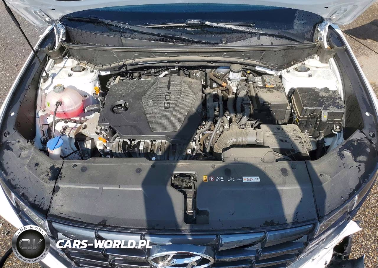 2024 Hyundai Tucson Xrt VIN:KM8JF3DEXRU276391 - 12