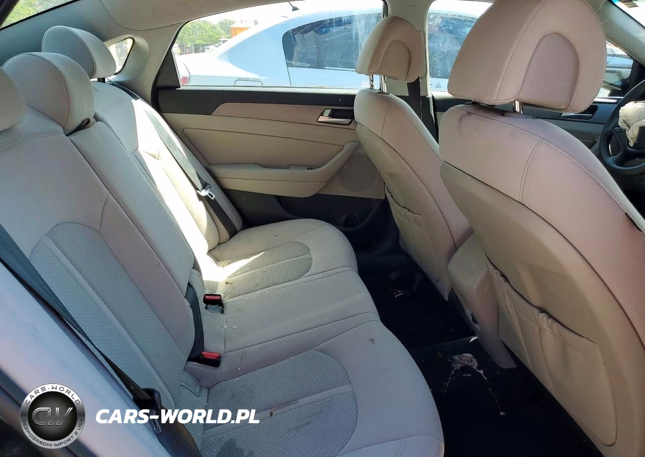 2016 Hyundai Sonata Eco VIN:5NPE24AA7GH430894 - 10