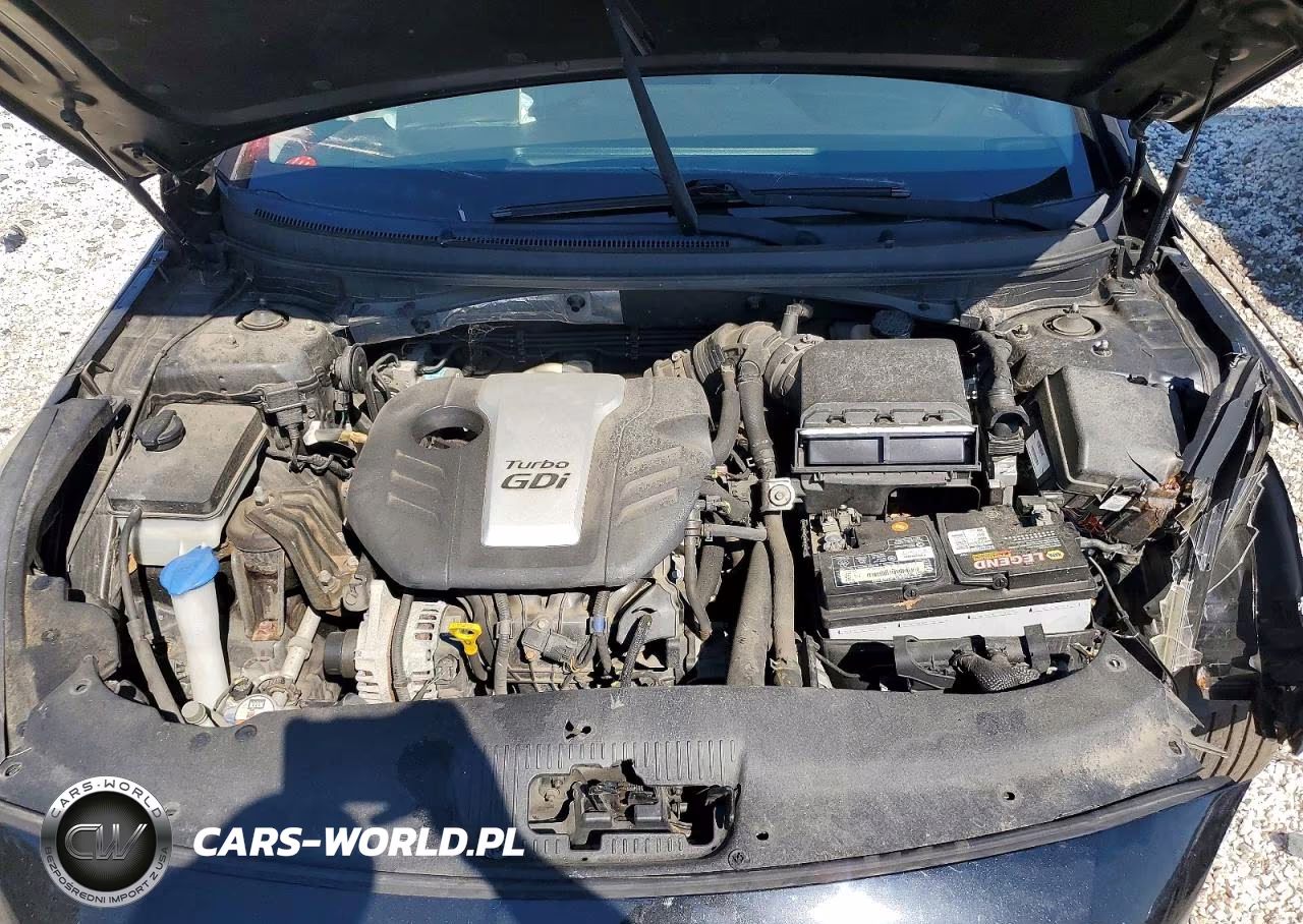 2016 Hyundai Sonata Eco VIN:5NPE24AA7GH430894 - 11