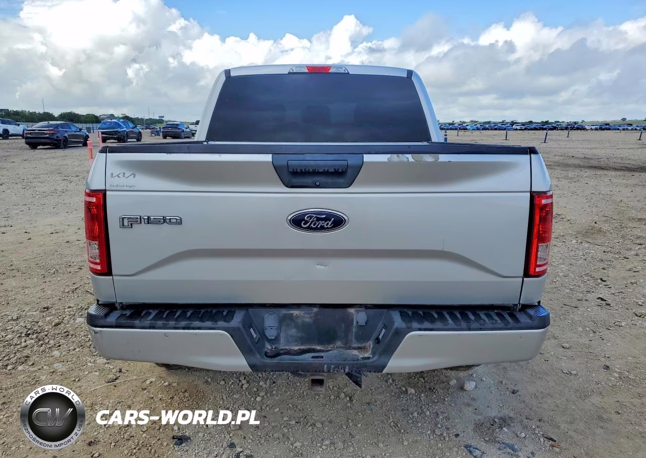 2017 Ford F150 Supercrew VIN:1FTEW1EP5HKE13919 - 6