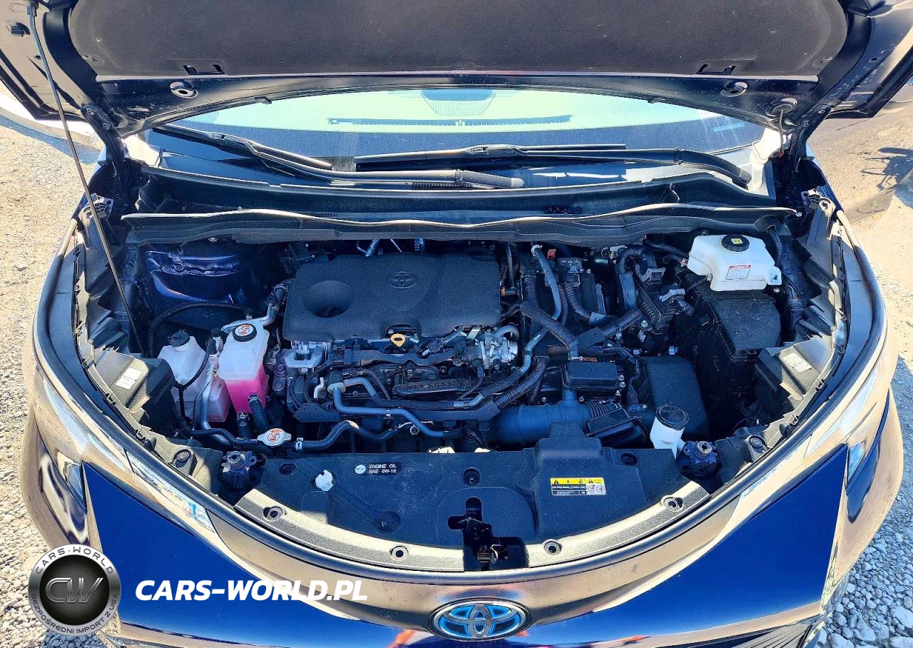 2023 Toyota Sienna Xle VIN:5TDYRKEC4PS160669 - 12